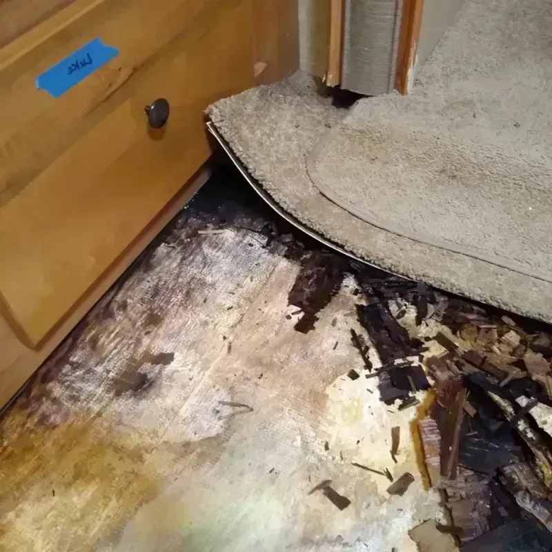 Wood Floor Water Damage in Irmo, SC